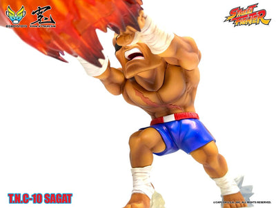 Street Fighter PVC Statue with Sound & Light Up Sagat 17cm - Scale Statue - BigBoysToys - Hobby Figures UK
