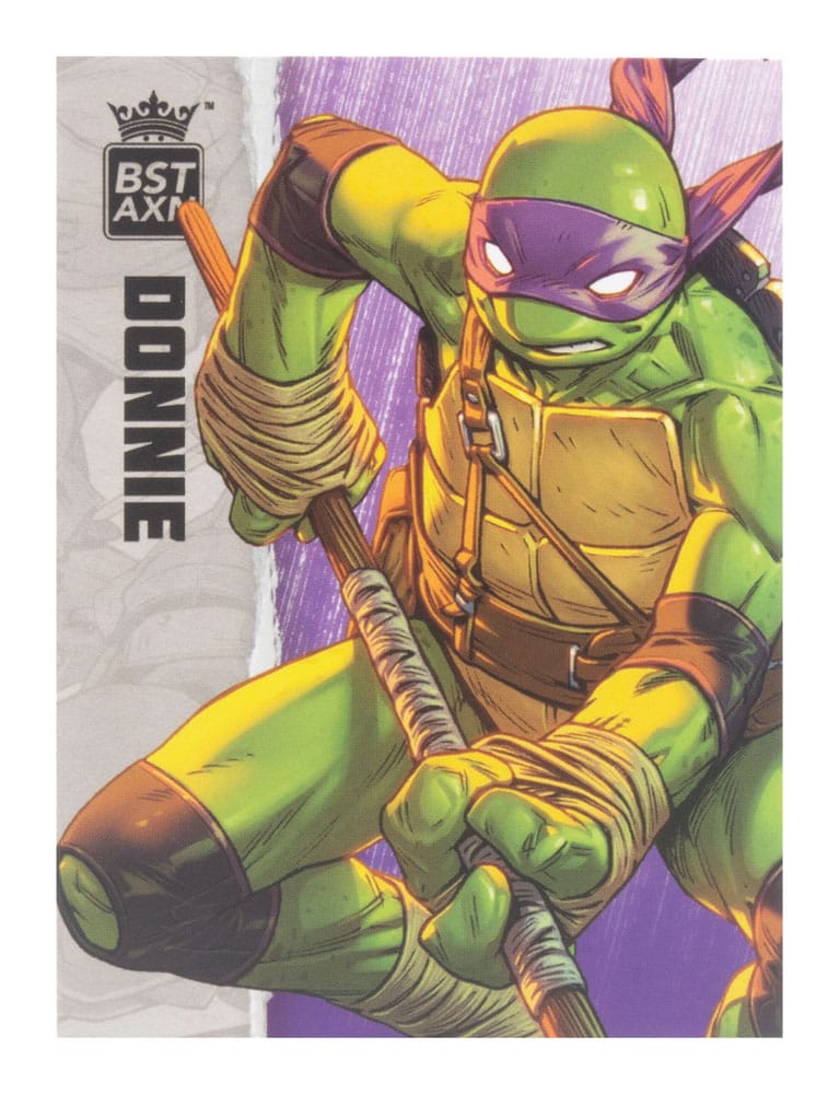 Teenage Mutant Ninja Turtles BST AXN Action Figure Donatello (IDW Comics) 13cm - Action Figures - The Loyal Subjects - Hobby Figures UK