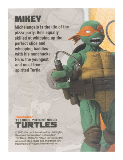 Teenage Mutant Ninja Turtles BST AXN Action Figure Michelangelo (IDW Comics) 13cm - Action Figures - The Loyal Subjects - Hobby Figures UK