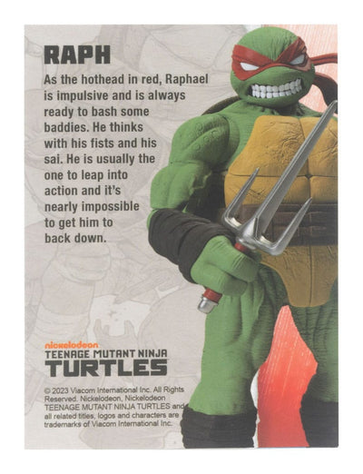 Teenage Mutant Ninja Turtles BST AXN Action Figure Raphael (IDW Comics) 13cm - Action Figures - The Loyal Subjects - Hobby Figures UK