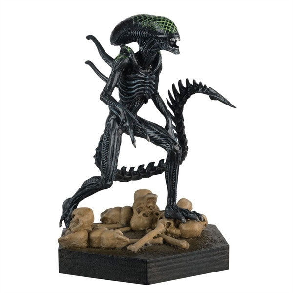 The Alien vs. Predator Collection Statue 1/16 Xenomorph Grid 14cm - Scale Statue - Eaglemoss Publications Ltd. - Hobby Figures UK