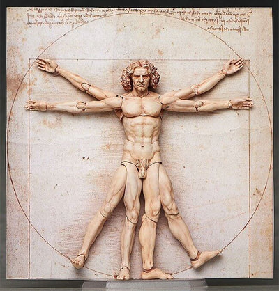 The Table Museum Figma Action Figure Vitruvian Man 16cm - Action Figures - FREEing - Hobby Figures UK