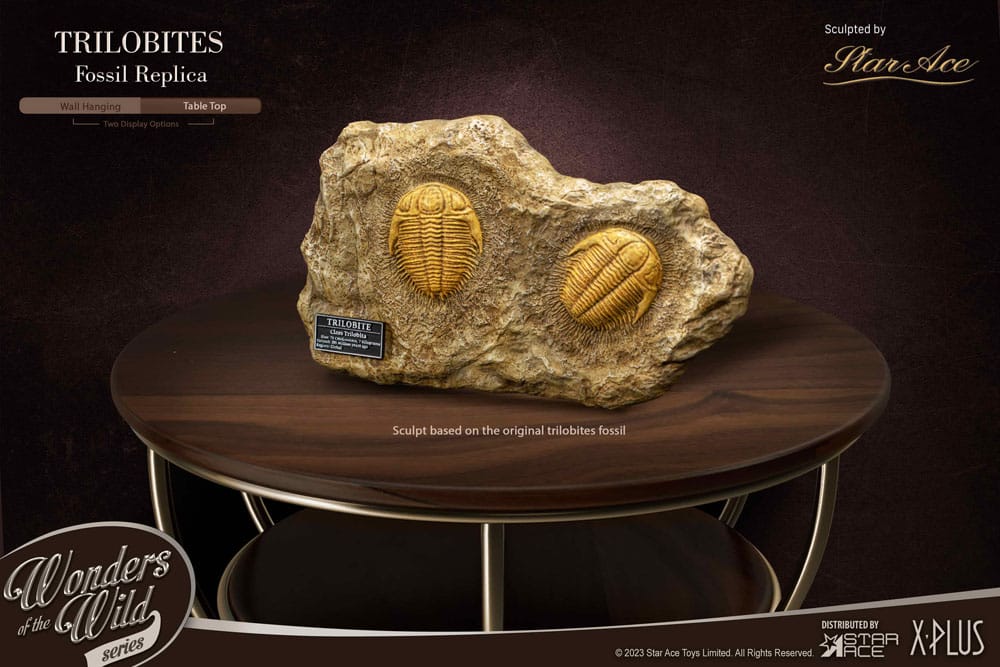 Wonders of the Wild Series Statue 1/1 Trilobites Miniature Frame & Fossil 15cm - Scale Statue - Star Ace Toys - Hobby Figures UK