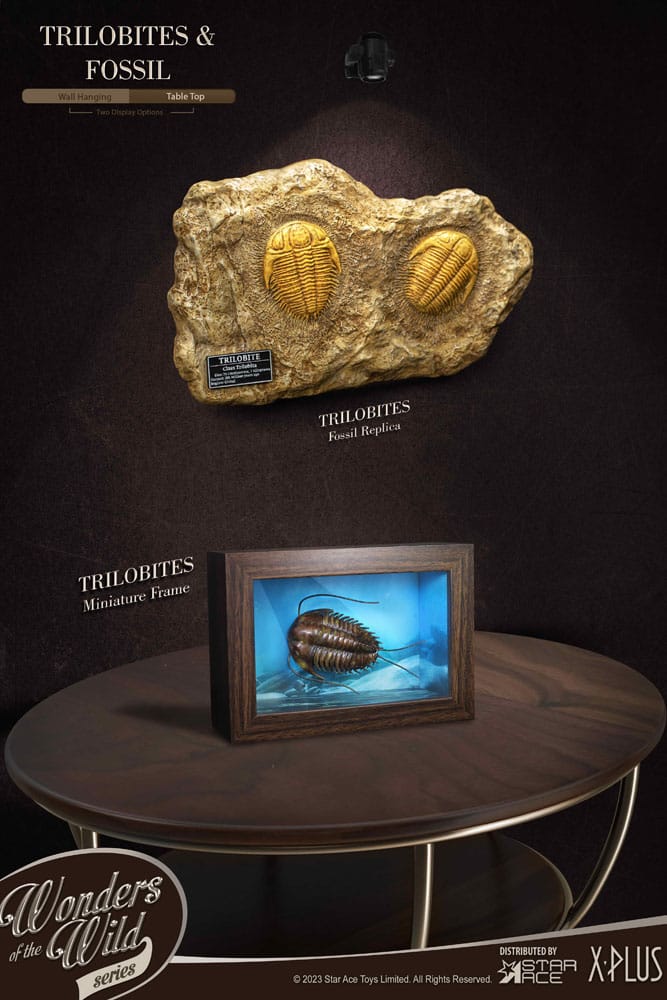 Wonders of the Wild Series Statue 1/1 Trilobites Miniature Frame & Fossil 15cm - Scale Statue - Star Ace Toys - Hobby Figures UK