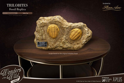 Wonders of the Wild Series Statue 1/1 Trilobites Miniature Frame & Fossil 15cm - Scale Statue - Star Ace Toys - Hobby Figures UK